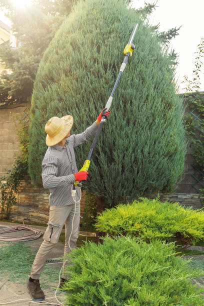 Leaf Removal in Throop, PA